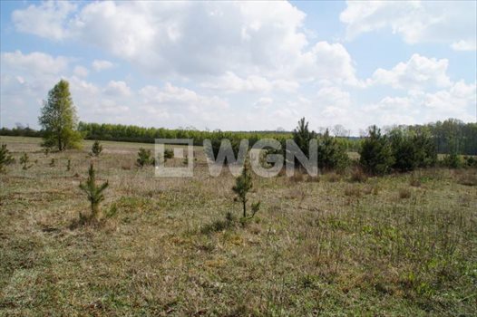 Działka inwestycyjna na sprzedaż Objazda, Objazda, Objazda 1 000m2 Foto 12