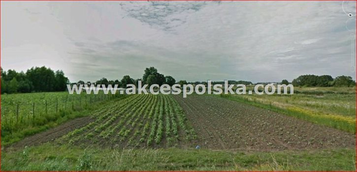 Działka budowlana na sprzedaż Warszawa, Wilanów, Rosochata 1 786m2 Foto 2