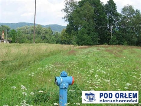 Działka rolna na sprzedaż Pietrzykowice 3 943m2 Foto 6