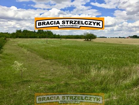 Działka rolna na sprzedaż Trzepowo 6 000m2 Foto 5