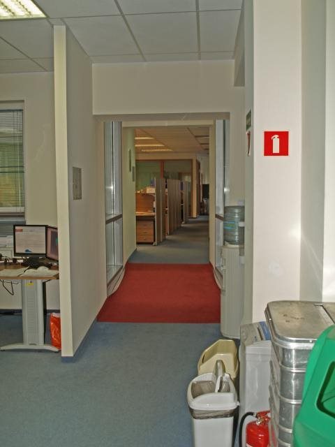 Lokal użytkowy na wynajem Sopot, Dolny, 3 Maja 500m2 Foto 5