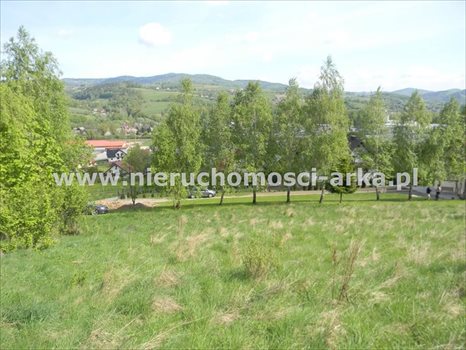 Działka budowlana na sprzedaż Limanowa 5 500m2 Foto 8