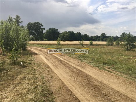 Działka siedliskowa na sprzedaż Stary Lubiel 7 400m2 Foto 1