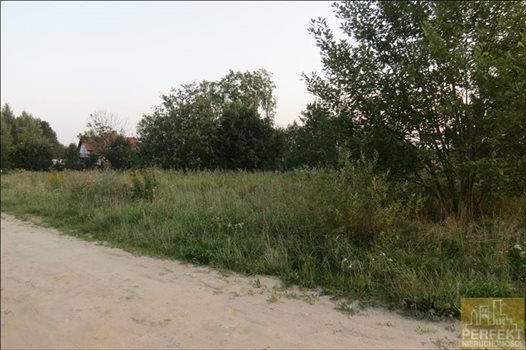 Działka budowlana na sprzedaż Bartąg, Bartąg, Olchowa 3 634m2 Foto 5