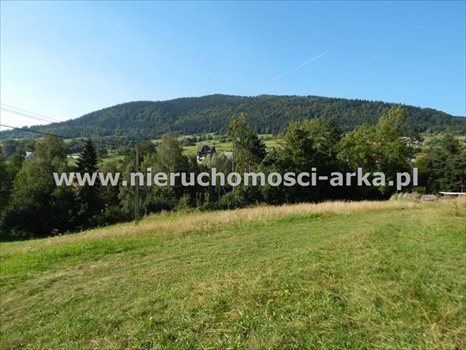 Działka budowlana na sprzedaż Chyszówki 2 566m2 Foto 3