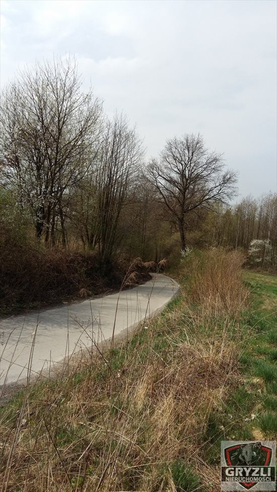 Działka budowlana na sprzedaż Masłomiąca 1 500m2 Foto 2