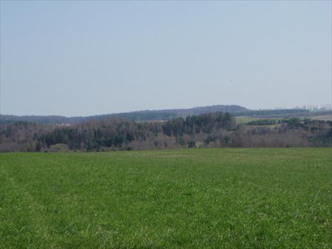 Działka budowlana na sprzedaż Dąbrówka, Leśna 1 583m2 Foto 8