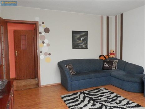 Dom na sprzedaż Biała Podlaska, Sielczyk 506m2 Foto 8