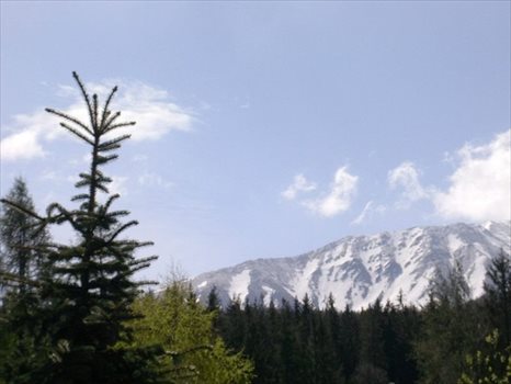 Dom na sprzedaż Zakopane, Zakopane 500m2 Foto 2