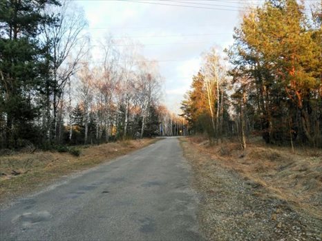 Działka inwestycyjna pod dzierżawę Czerwony Bór 10 000m2 Foto 3