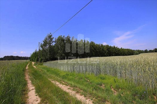 Działka inna na sprzedaż Klonówka, Las, Rzeka 101 600m2 Foto 8