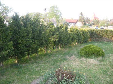 Działka rolna na sprzedaż Bierkowo, Leśna 3 241m2 Foto 8