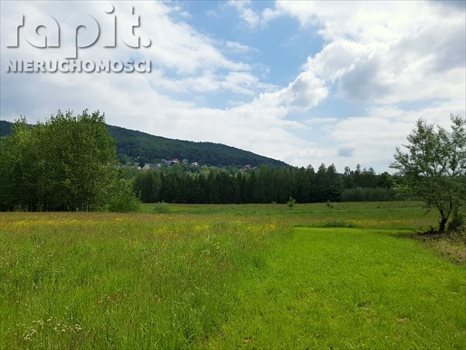 Działka budowlana na sprzedaż Zasań 4 002m2 Foto 3