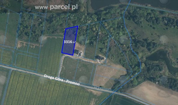 Działka budowlana na sprzedaż Góra, Góra 3 316m2 Foto 4