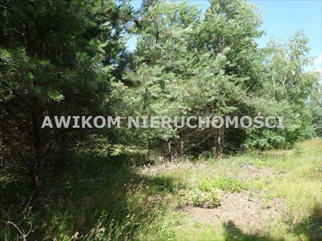 Działka inna na sprzedaż Skierniewice 2 580m2 Foto 1