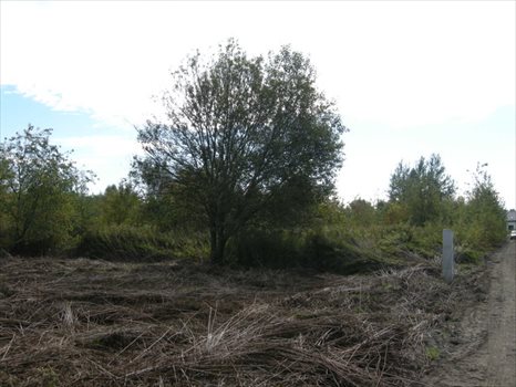 Działka budowlana na sprzedaż Otwock, Jabłonna, Niezapominajki 857m2 Foto 7