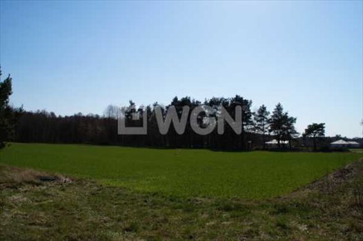Działka budowlana na sprzedaż Machowino, Słupsk, Machowino 7 500m2 Foto 5
