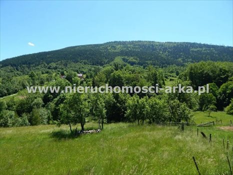 Działka budowlana na sprzedaż Dobra 3 600m2 Foto 2