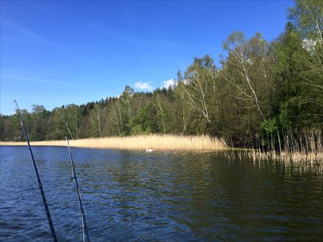 Działka inwestycyjna na sprzedaż Tylice, Tylice 178 100m2 Foto 2