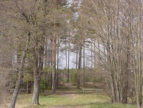Działka inna na sprzedaż Ostrowite, Linia Brzegowa, NADJEZIORNA 3 070m2 Foto 4