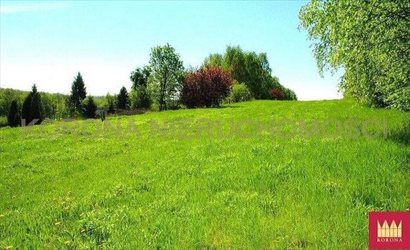 Działka komercyjna na sprzedaż Rybnik 11 783m2 Foto 6