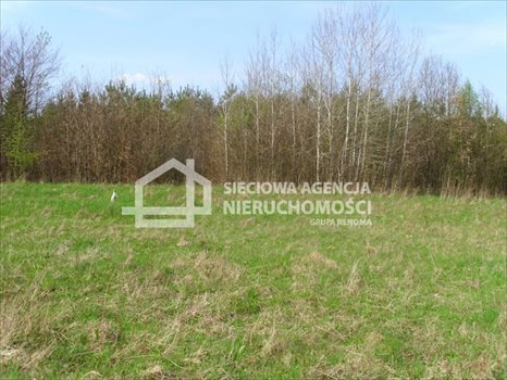 Działka budowlana na sprzedaż Sitno 1 761m2 Foto 5