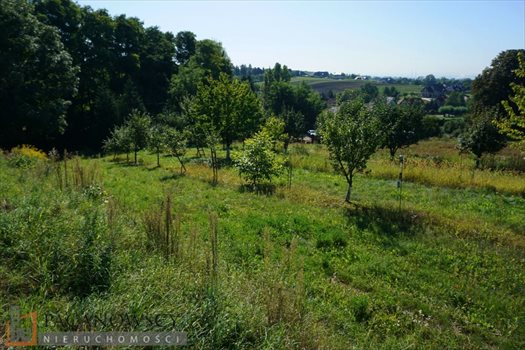Działka budowlana na sprzedaż Sieborowice 10 000m2 Foto 1