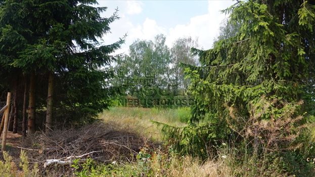 Działka budowlana na sprzedaż Kobylnica, Dolinowa 1 256m2 Foto 9