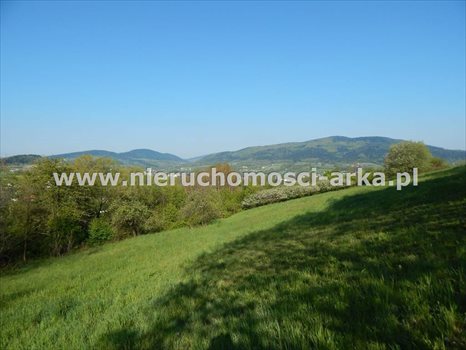 Działka budowlana na sprzedaż Skrzydlna 8 400m2 Foto 2