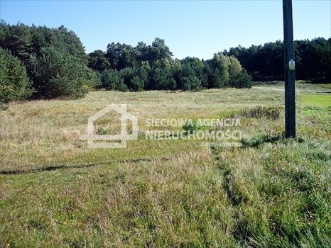 Działka budowlana na sprzedaż Dobrzewino 1 050m2 Foto 3
