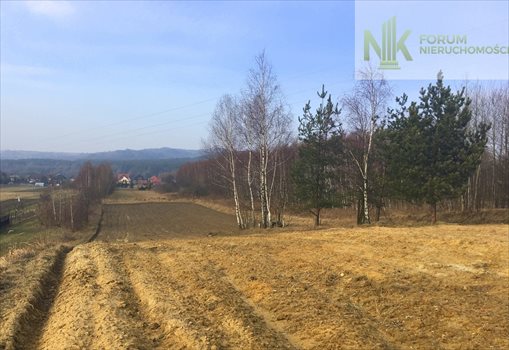 Dom na sprzedaż Krzeszowice 307m2 Foto 5