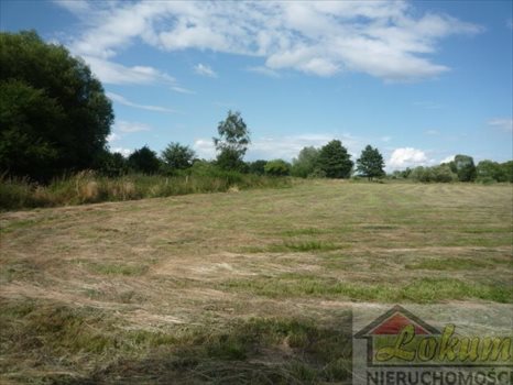 Działka rekreacyjna na sprzedaż Dębostrów 8 100m2 Foto 2