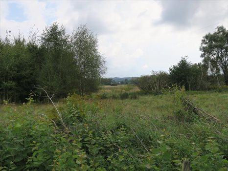 Działka inna na sprzedaż Kobylnica, Łąkowa 1 082m2 Foto 6