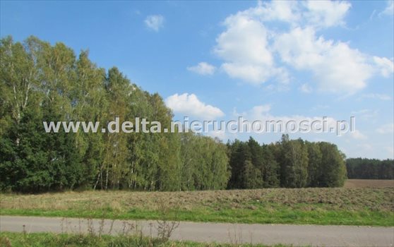Działka budowlana na sprzedaż Warblewo 5 500m2 Foto 3