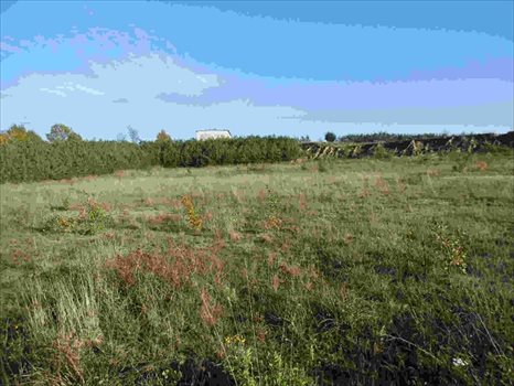 Działka komercyjna na sprzedaż Zakrzewo 18 000m2 Foto 6