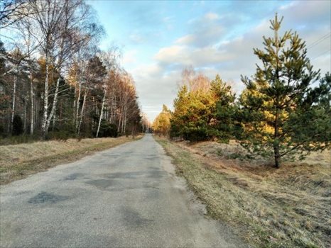 Działka inwestycyjna pod dzierżawę Czerwony Bór 10 000m2 Foto 9