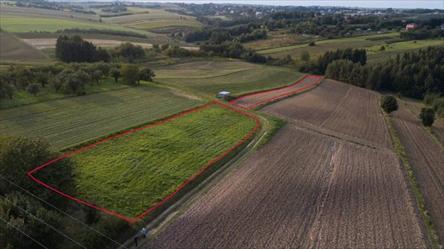 Działka budowlana na sprzedaż Owczary, zbożowa 4 800m2 Foto 2