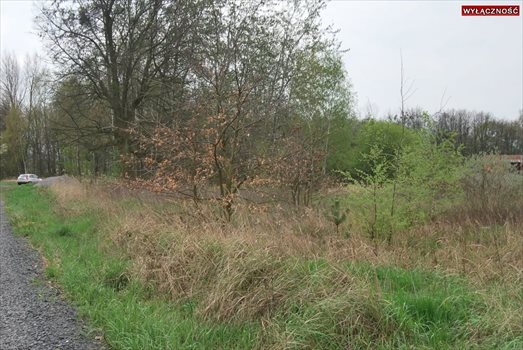 Działka budowlana na sprzedaż Skorogoszcz 743m2 Foto 3