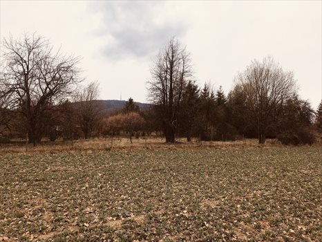Działka budowlana na sprzedaż Sulistrowice, Nowa 1 200m2 Foto 9