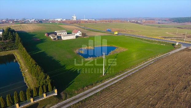 Działka inna na sprzedaż Janowo, Pelplińska 3 000m2 Foto 4
