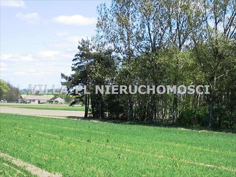 Działka budowlana na sprzedaż Łęczyca 44 780m2 Foto 2