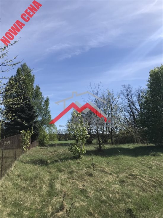 Działka rekreacyjna na sprzedaż Arciechów 1 283m2 Foto 1