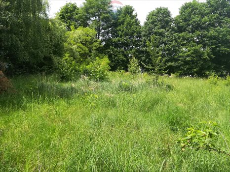 Działka rekreacyjna na sprzedaż Zarzęcin 300m2 Foto 6