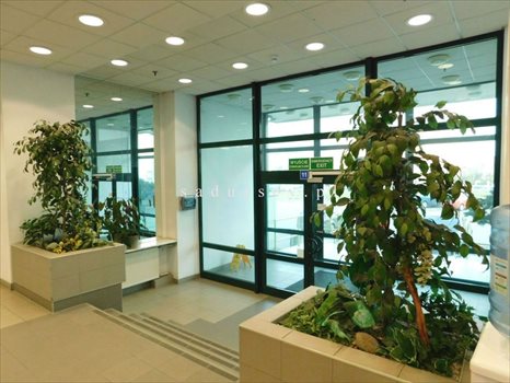 Lokal użytkowy na wynajem Józefosław 189m2 Foto 10