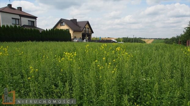 Działka budowlana na sprzedaż Owczary 11 856m2 Foto 4