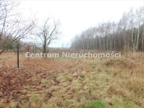 Dom na sprzedaż Marzenin 90m2 Foto 5