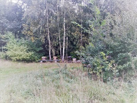 Działka budowlana na sprzedaż Charzykowy, Droga pod Strzechę 1 945m2 Foto 2