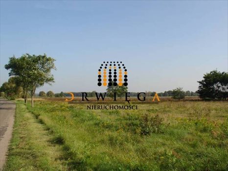 Działka budowlana na sprzedaż Gościnowo 1 200m2 Foto 8