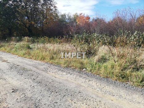 Działka inna na sprzedaż Przesieczany 1 505m2 Foto 7