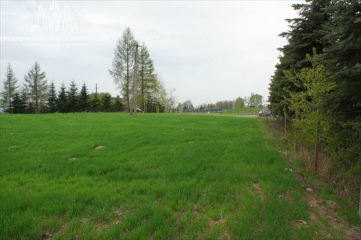 Działka budowlana na sprzedaż Kielanówka 3 600m2 Foto 2
